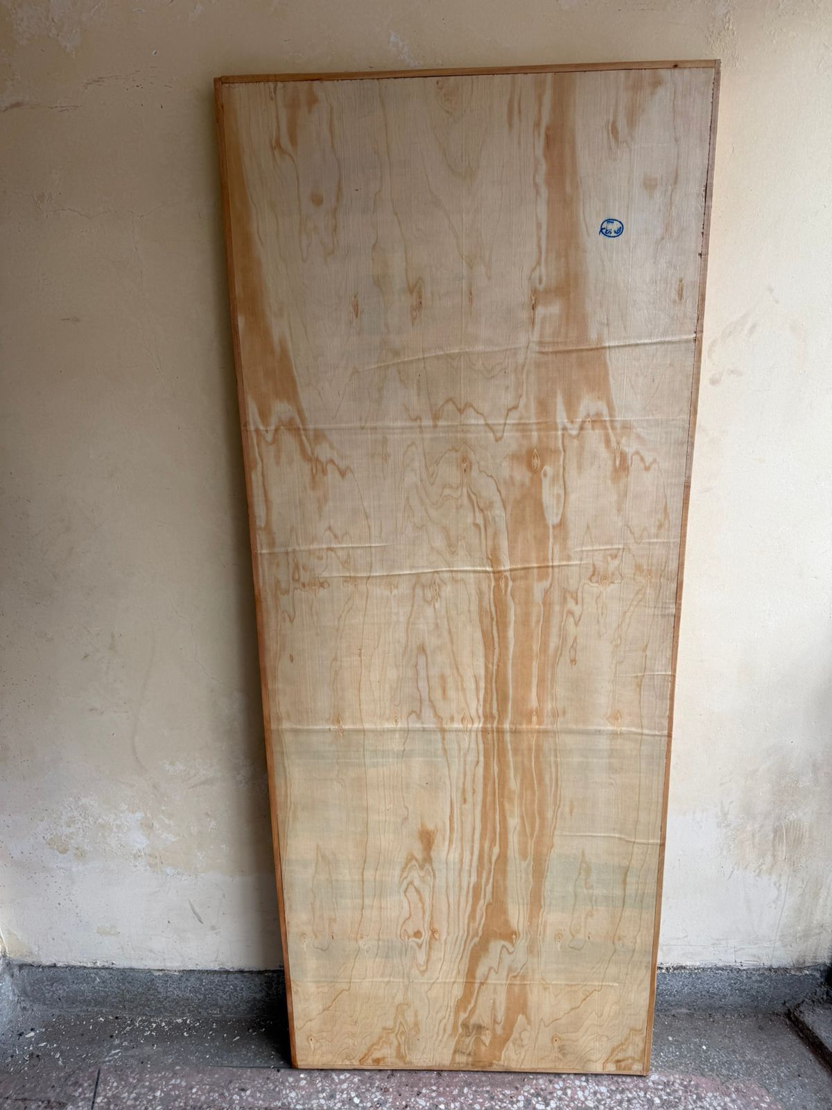 Flush Door