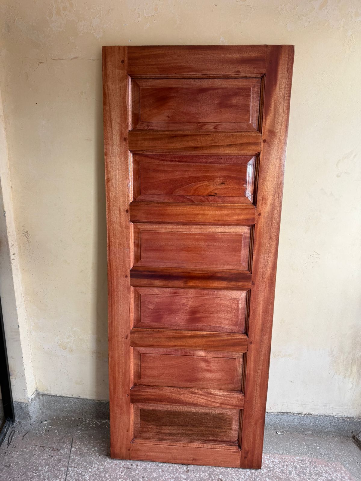 Panel main door