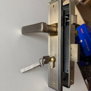 Wista door lock